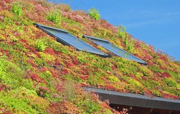 Forden living roof systems